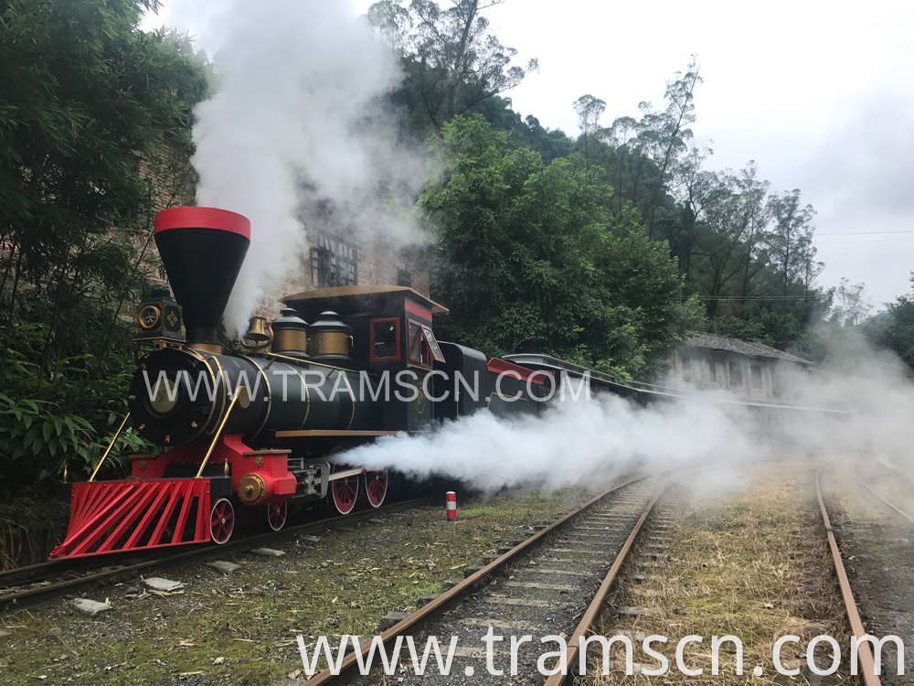 sightseeing trains newest steam locomotive